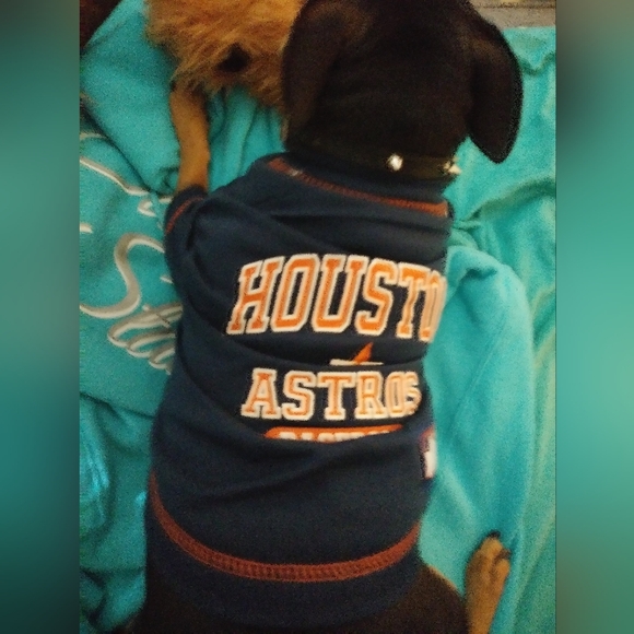 Like to be notified when I go live!! - Picture 14 of 16